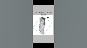 How to make a TEXTURE BRUSH in IBISPAINT X TUTORIAL | custom brush #ibispaintx #arttutorial