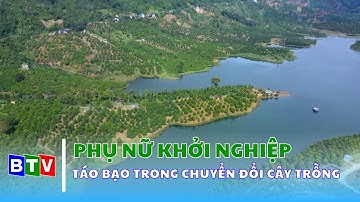 Táo bạo trong chuyển đổi cây trồng | Phụ nữ khởi nghiệp