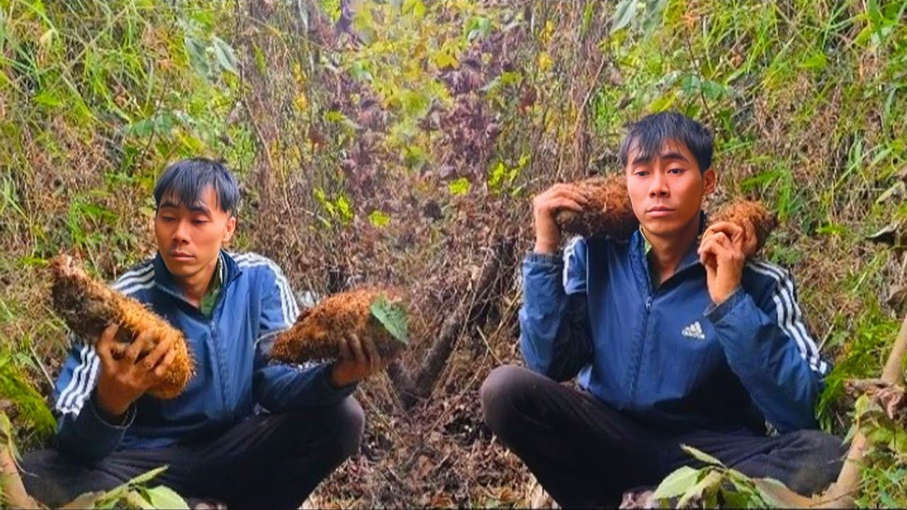 A poor man went into the forest to dig up cassava to eat. Despite the ...
