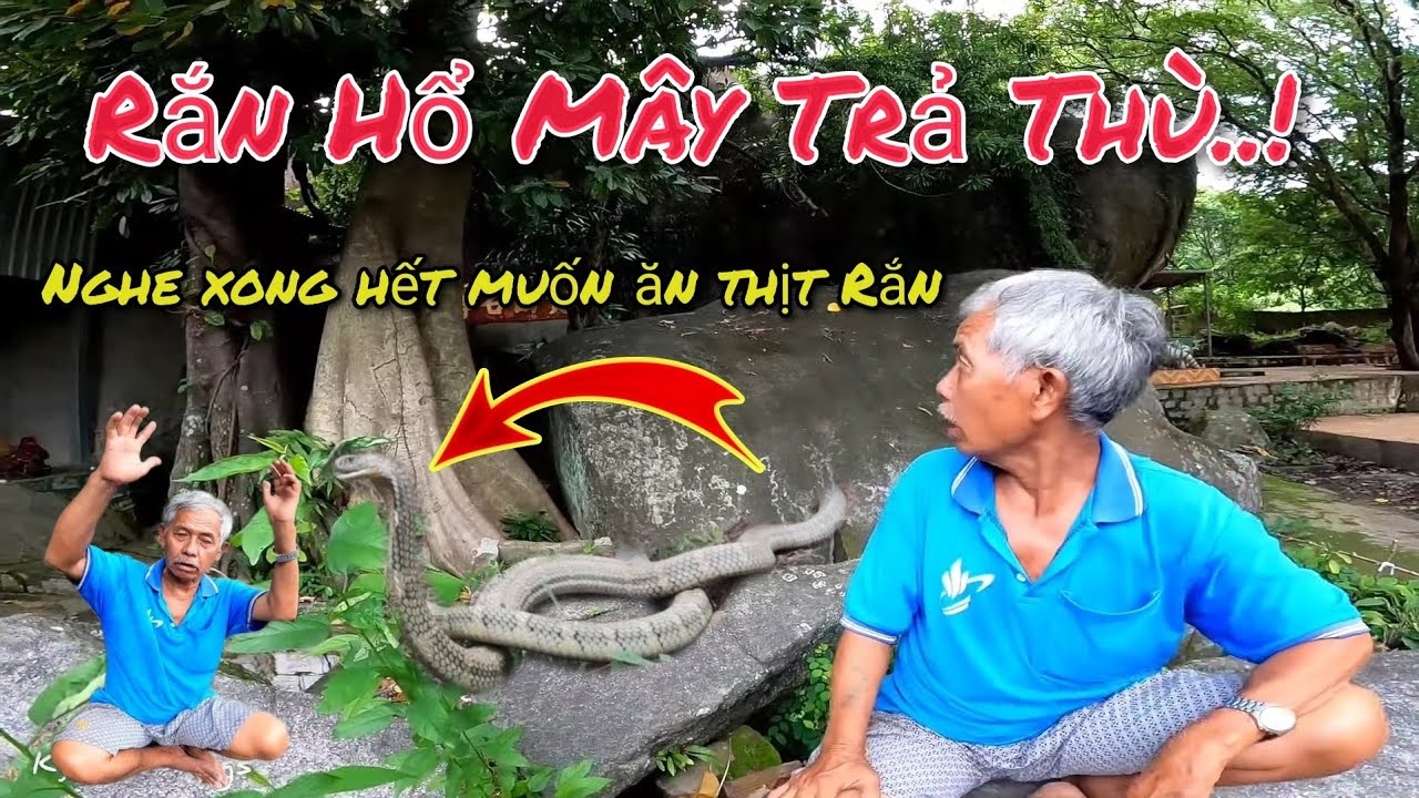 Ужасная месть Облачного Змея, учинённая Королевой Леса в районе Семи Гор. Услышав её, я больше не...