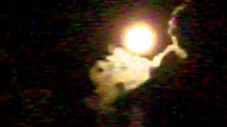 100_0835.AVI