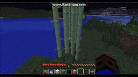 Minecraft bukkit server error