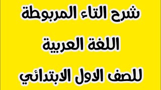 شرح درس التاء المربوطة مع التدريبات الهامة للصف الاول الابتدائي الترم الثاني المنهج الجديد اكتشف