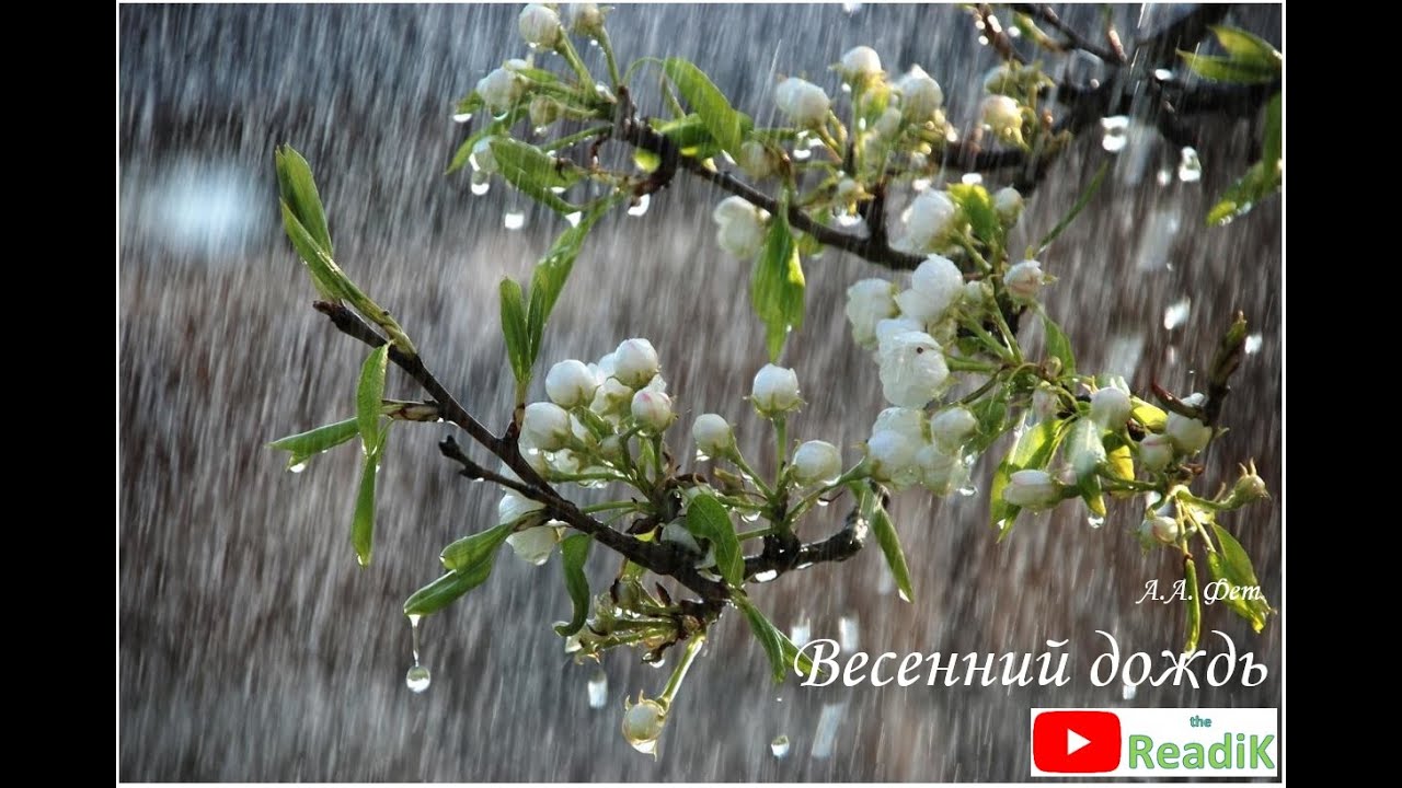 Стихотворение А.А. Фет Весенний дождь /слушать/литература 5 класс ...