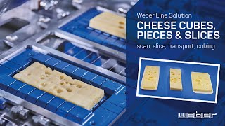 Weber Line Solution for cheese cubes, pieces and slices | weSCAN, Slicer TS700, weSHUTTLE, wePICK