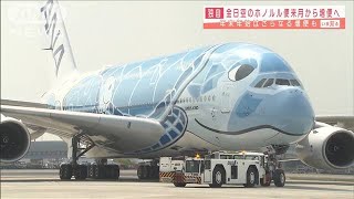 ANAがホノルル増便へ　ハワイ規制緩和で回復見込む(2020年11月10日)