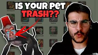 Find your BEST PvP Pet - Hunter Pet Guide | World of Warcraft