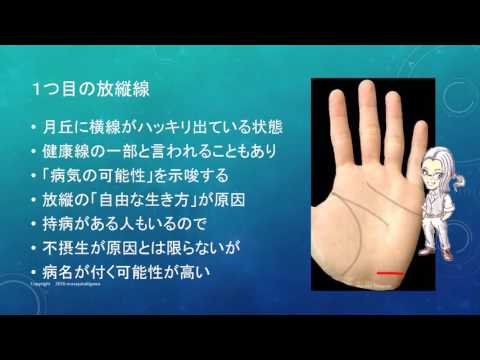 放縦とは 放縦とは