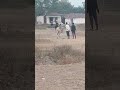 cricket shorts #viral#cricket#morning