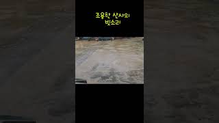 조용한 산사의 빗소리