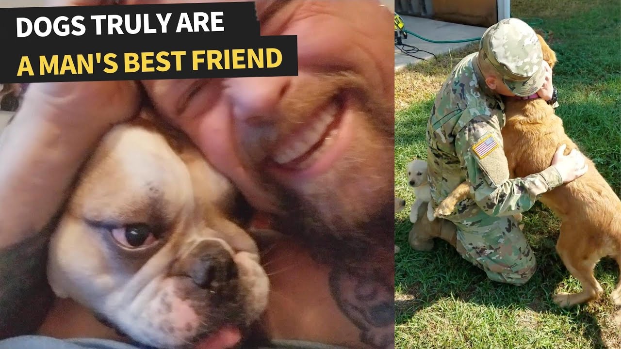 Dogs Truly Are A Man's Best Friend | Cute Animal Compilation