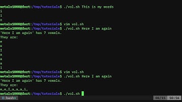 BASH Count Vowels in Strings Linux Shell Tutorial
