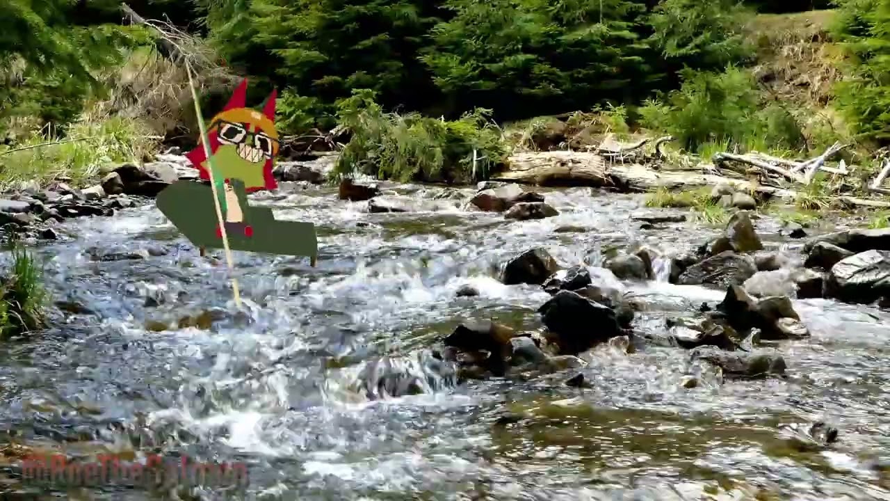 𝚠𝚎𝚋𝚏𝚒𝚜𝚑𝚒𝚗𝚐