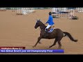 British Young Horse Showjumping Championships Non British 6YO Final - Sunday 20th August 2017