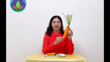 HĐNBTN “Củ cà rốt, củ khoai tây”