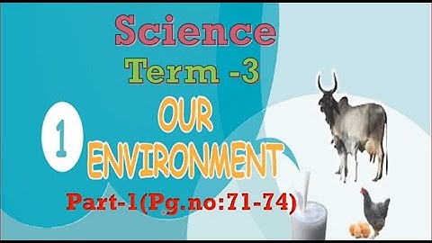 CLASS 5 / TERM 3 / UNIT -1 / "Our Environment"