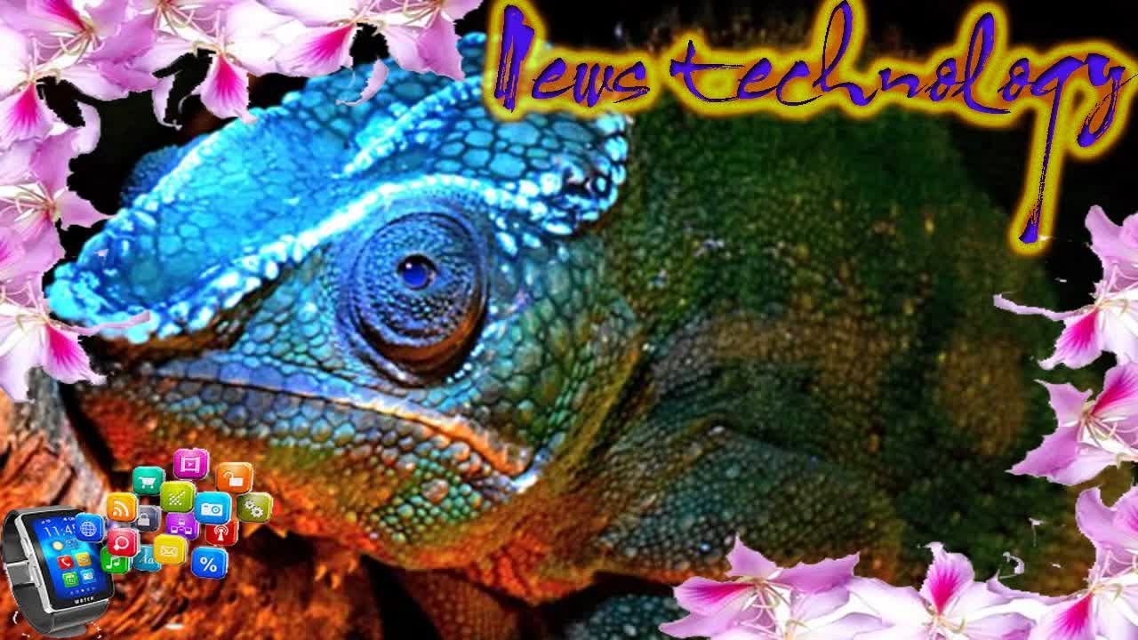 News Techcology THE SECRET OF CHAMELEONS GLOW  YouTube