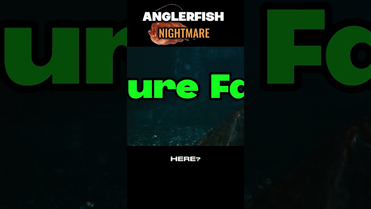 Are Angler Fish the Ultimate Predators? 