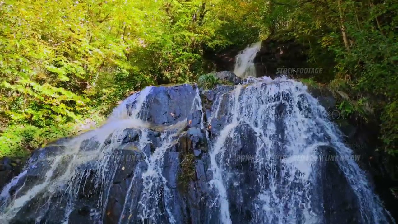 An expansive view of cascading waterfalls enveloped by verdant forests and misty air