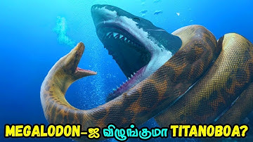 Megalodon-ஐ விழுங்குமா Titanoboa? Megalodon vs Titanoboa | Tamil Galatta Facts