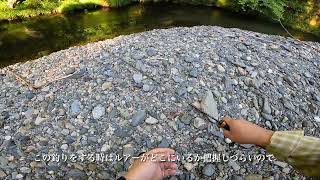 【渓流2024】sukari GHOST50 サスペンドミノーの誘惑