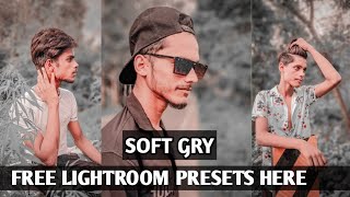 How To Add Soft Gray Tone | Lightroom Photo Editing | New Preset 2022 screenshot 5