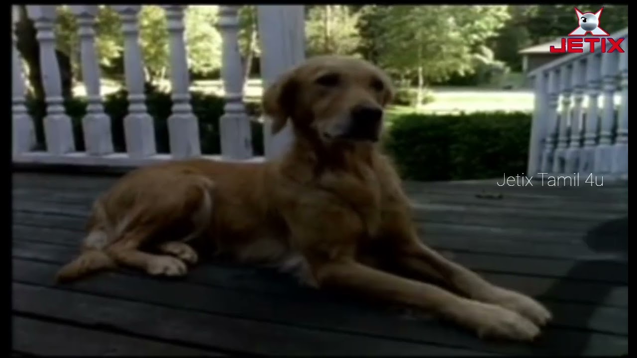 Goosebumps TV show intro fox 1995 jetix  2003 _shorts _goosebumps 