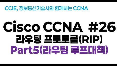 시스코(Cisco) CCNA #26(RIP 라우팅 프로토콜) part5(라우팅 루프 대책)