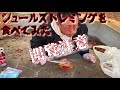 世界一臭い缶詰を食べてみた【シュールストレミング】