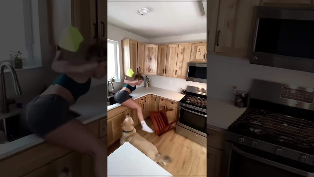 This cat and dog decides to be wicked to it's owner