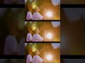 C&K-「Y」JIMOTO×JIMOTO(2017.8.26栃木・小山運動公園) #candk