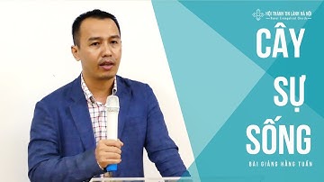 Cây Sự  Sống - Mục sư Bùi Quốc Phong