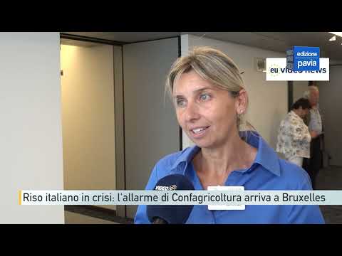 Video Riso italiano in crisi: l'allarme di Confagricoltura arriva a Bruxelles