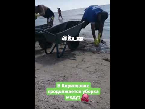 «В море просто невозможно зайти»! Испорченный отдых: что происходит на пляжах Азовского моря. ФОТО. ВИДЕО