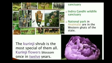 Term-2   STD-4 Social Science Unit-2 Physical Features of Tamilnadu