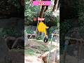 zoo #shortfeed #viral #zoo #shorts #shortvideo #song #dineshmauryaayush2 #1millionviews #subscribeme