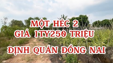 Khó Tin Rẻ Đến Vậy.Đất Kế Đường Nhựa Gần Quốc Lộ 20
