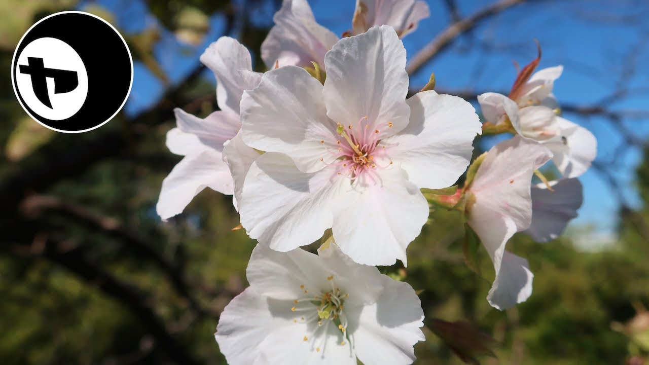 よい天気でした。// YANS 20231026