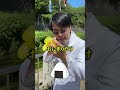 更年期に入ってから10kgあっという間に太った方へ
