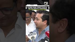 Mein Auraat Hoon Nitesh Rane Takes Playful Jibe At Shiv Sena Ubt Leader Aaditya Thackeray