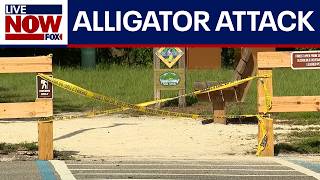 Deadly alligator attack in Seminole County, Florida