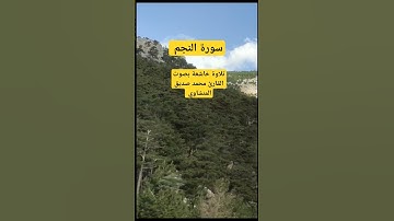 سورة النجم | الشيخ محمد صديق المنشاوي رحمه الله #سورة_النجم #محمد_صديق_المنشاوي