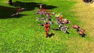 Hackeri pe Metin 2 ro