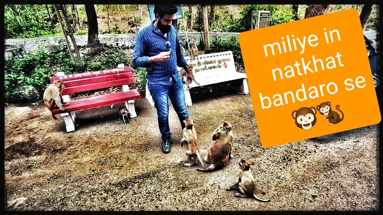 Dhareshwar Mandir 🛕 | Ukai Resettlement | Gujrat