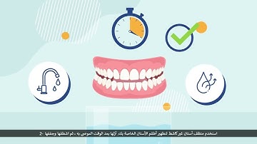 Mind of Studio - 2D Animated Explainer Video