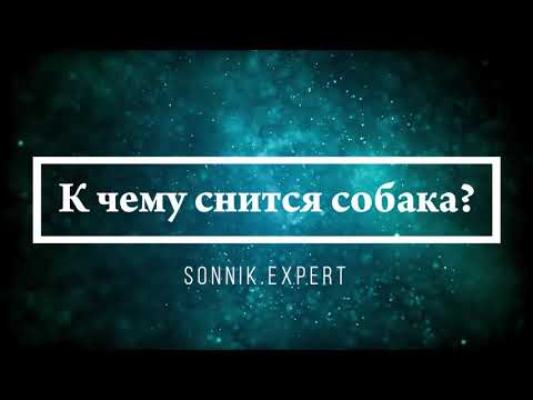 К чему снится собака - Онлайн Сонник Эксперт