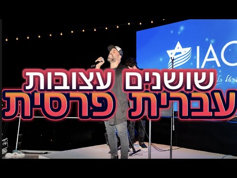 עידן רייכל שושנים עצובות קאבר איתיי בנדה IDAN RAICHEL Sad Roses Cover By ITAY BENDA 