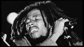 Beautiful Love - Bob Marley X Sean Kingston - Dewey Decibel Mix. - Mash Up