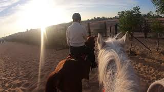 2020/12/26  备马 & 准备出发  | Happy Dunes stable