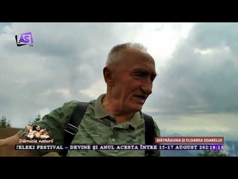 Dărnicia Naturii - Mătrăguna și Floarea Soarelui Dărnicia Naturii - Mătrăguna și Floarea Soarelui